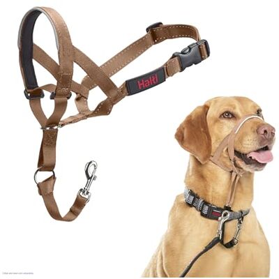 Halti Headcollar För att hindra din hund från att dra i kopplet. Justerbar och lätt, med vadderat näsband. Anti-draghalsband för hundträning för medelstora hundar (Storlek 3, Ökensand) Halti Headcollar För att hindra din hund från att dra i kopplet. Justerbar och lätt, med vadderat näsband. Anti-draghalsband för hundträning för medelstora hundar (Storlek 3, Ökensand)