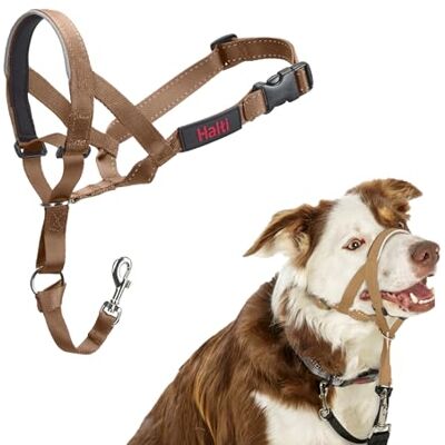 Halti Headcollar För att hindra din hund från att dra i kopplet. Justerbar och lätt, med vadderat näsband. Anti-draghalsband för hundträning för medelstora hundar (Storlek 2, Ökensand) Halti Headcollar För att hindra din hund från att dra i kopplet. Justerbar och lätt, med vadderat näsband. Anti-draghalsband för hundträning för medelstora hundar (Storlek 2, Ökensand)