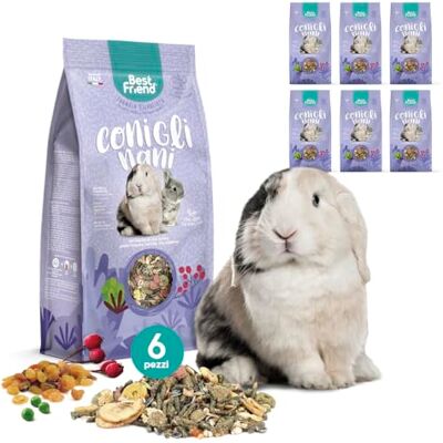 Best Friend Komplett foder för dvärgkaniner med nyponbär, flingärta, johannesbröd, sultanin-druvor. Gnagarfoder med naturliga ingredienser, tillverkad i Italien 6-pack Best Friend Komplett foder för dvärgkaniner med nyponbär, flingärta, johannesbröd, sultanin-druvor. Gnagarfoder med naturliga ingredienser, tillverkad i Italien 6-pack