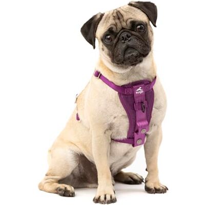 Kurgo TRU-Fit Hundsele, kraschtestat bilsäkerhetsbälte, för hundar från 2 till 5 kg, storlek S, lila Kurgo TRU-Fit Hundsele, kraschtestat bilsäkerhetsbälte, för hundar från 2 till 5 kg, storlek S, lila