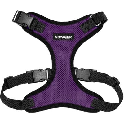 Best Pet Supplies Voyager Step-in Lock-sele för husdjur, nättyg för alla väder, justerbar ”step-in”-sele för katter och hundar, lila/svart kant, storlek S Best Pet Supplies Voyager Step-in Lock-sele för husdjur, nättyg för alla väder, justerbar ”step-in”-sele för katter och hundar, lila/svart kant, storlek S