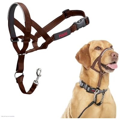 Halti Headcollar För att hindra din hund från att dra i kopplet. Justerbar och lätt, med vadderat näsband. Anti-draghalsband för hundträning för medelstora hundar (Storlek 3, Djup Valnöt) Halti Headcollar För att hindra din hund från att dra i kopplet. Justerbar och lätt, med vadderat näsband. Anti-draghalsband för hundträning för medelstora hundar (Storlek 3, Djup Valnöt)