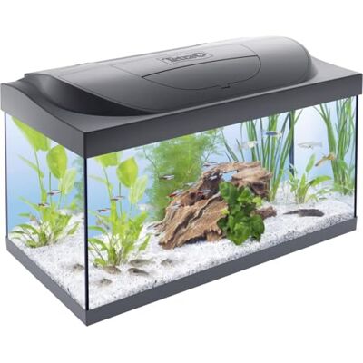 Tetra Starter Line LED akvarium komplett kit 54 L Tetra Starter Line LED akvarium komplett kit 54 L
