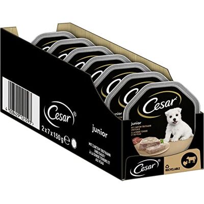 Cesar Hundfoder våtfoder junior för valpar och unga hundar <1 år med kalkon och kalvkött i paté, 14 skålar (14 x 150 g), 2100 g Cesar Hundfoder våtfoder junior för valpar och unga hundar <1 år med kalkon och kalvkött i paté, 14 skålar (14 x 150 g), 2100 g