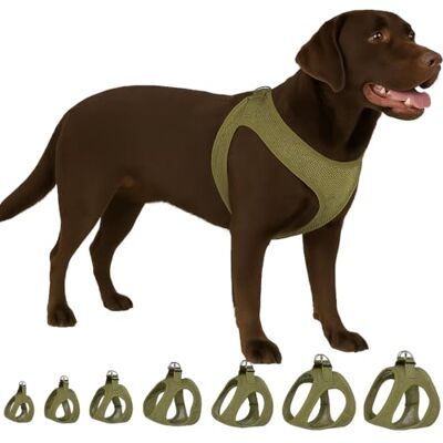 Flamingo Step&Go Bento Hundsele Khaki XL A:40-43 cm B:49-54 cm x 3 mm Justerbar med reflekterande ränder Perfekt för Shiba Inu, Cocker Spaniel, Sheltie & Beagle Flamingo Step&Go Bento Hundsele Khaki XL A:40-43 cm B:49-54 cm x 3 mm Justerbar med reflekterande ränder Perfekt för Shiba Inu, Cocker Spaniel, Sheltie & Beagle