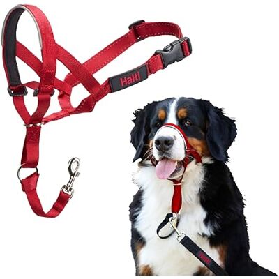 Halti Headcollar Storlek 4, Röd För att hindra din hund från att dra i kopplet. Justerbar och lätt, med vadderat näsband. Hundträning för stora hundar Halti Headcollar Storlek 4, Röd För att hindra din hund från att dra i kopplet. Justerbar och lätt, med vadderat näsband. Hundträning för stora hundar