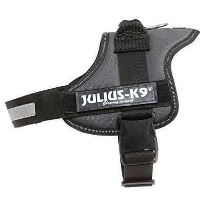 Julius-K9 K9 Powersele, storlek: XL/2, antracit Julius-K9 K9 Powersele, storlek: XL/2, antracit