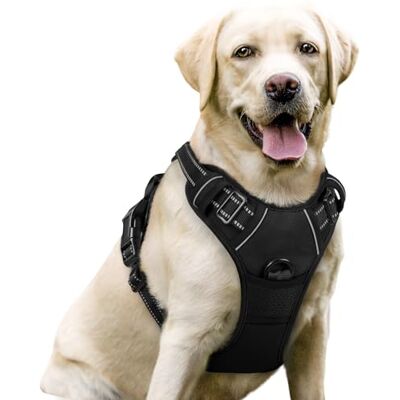 rabbitgoo No Pull Hundsele L Svart, Front Clip Vest Vadderad Sele Hundbilsele Med Handtag Justerbar Reflekterande Andningsnät Lättvikt Enkel Kontroll För Utomhusvandring rabbitgoo No Pull Hundsele L Svart, Front Clip Vest Vadderad Sele Hundbilsele Med Handtag Justerbar Reflekterande Andningsnät Lättvikt Enkel Kontroll För Utomhusvandring