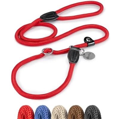 lionto Robust retrieverkoppel för hundar i alla storlekar, snabb att ta på, koppel & halsband i ett, 170 cm, pälsvänlig lina med integrerat stopp, vegansk, röd lionto Robust retrieverkoppel för hundar i alla storlekar, snabb att ta på, koppel & halsband i ett, 170 cm, pälsvänlig lina med integrerat stopp, vegansk, röd