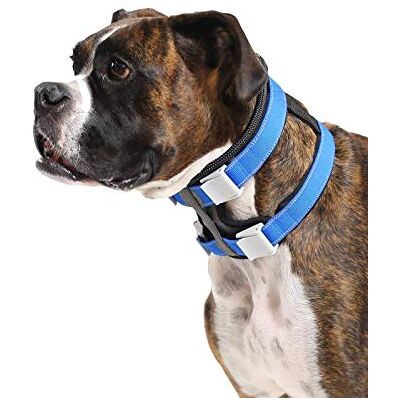 Cesar Millan Pack Leader Collar – träningskrage för hundviskaren – medium, blå Cesar Millan Pack Leader Collar – träningskrage för hundviskaren – medium, blå