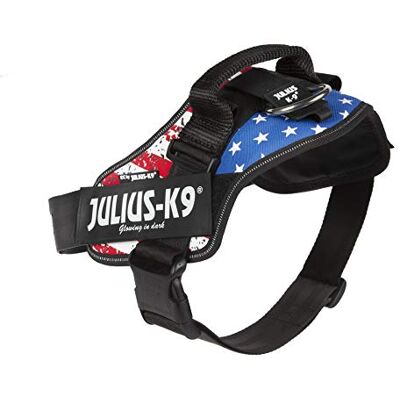 Julius-K9 16IDC POWERHARNESS USA-flagga (USA-flagga, mini-mini) Julius-K9 16IDC POWERHARNESS USA-flagga (USA-flagga, mini-mini)