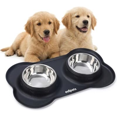 Edipets , Hund matare Katt och husdjur, Dricka Hund Katter, Dubbel maträtt borttagbar rostfritt stål, Halkfri silikonbas (storlek M 480 Gr, svart) Edipets , Hund matare Katt och husdjur, Dricka Hund Katter, Dubbel maträtt borttagbar rostfritt stål, Halkfri silikonbas (storlek M 480 Gr, svart)