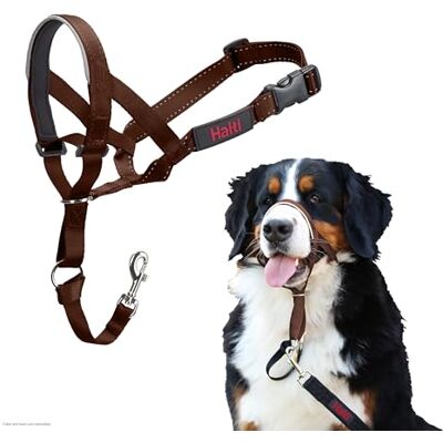 Halti Headcollar För att hindra din hund från att dra i kopplet. Justerbar, reflekterande och lätt, med vadderat näsband. Anti-draghalsband för hundträning för stora hundar (Storlek 4, Djup Valnöt) Halti Headcollar För att hindra din hund från att dra i kopplet. Justerbar, reflekterande och lätt, med vadderat näsband. Anti-draghalsband för hundträning för stora hundar (Storlek 4, Djup Valnöt)