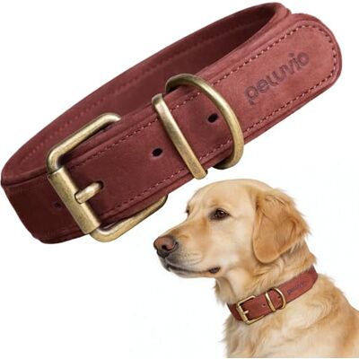 Peluvio Rexor Hundhalsband i Äkta Oxläder för Hundar, Justerbart Läderhalsband med Kopparspänne och Metallbeslag, Mjukt, Slitstarkt och Bekvämt Halsband för Dagliga Promenader, Elegant (L, Brun) Peluvio Rexor Hundhalsband i Äkta Oxläder för Hundar, Justerbart Läderhalsband med Kopparspänne och Metallbeslag, Mjukt, Slitstarkt och Bekvämt Halsband för Dagliga Promenader, Elegant (L, Brun)