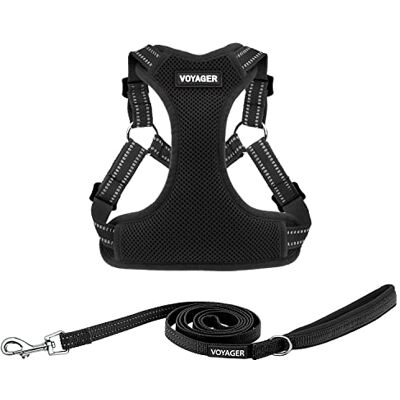 Best Pet Supplies Voyager Step-in Flex hundsele och reflekterande hundkoppel kombo set med neoprenhandtag, 1,8 m lång, — Stöder små, medelstora och stora rasvalpar – svart (med koppel), S Best Pet Supplies Voyager Step-in Flex hundsele och reflekterande hundkoppel kombo set med neoprenhandtag, 1,8 m lång, — Stöder små, medelstora och stora rasvalpar – svart (med koppel), S