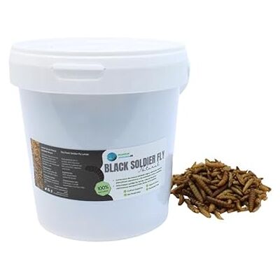 PlantasAcuario Larva Black Soldier Fly akvarieplanter 1000 ml, 100% naturlig insektsbaserad mat för fisk, fåglar och reptiler rik på protein och vitaminer PlantasAcuario Larva Black Soldier Fly akvarieplanter 1000 ml, 100% naturlig insektsbaserad mat för fisk, fåglar och reptiler rik på protein och vitaminer