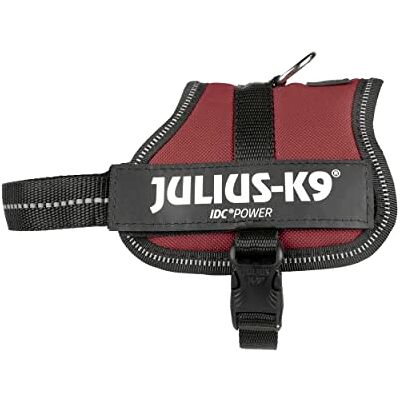Julius-K9 , 162BOR-BB2, K9-Powerharness, hundsele, storlek: Baby 2, Bordeaux-brun Julius-K9 , 162BOR-BB2, K9-Powerharness, hundsele, storlek: Baby 2, Bordeaux-brun