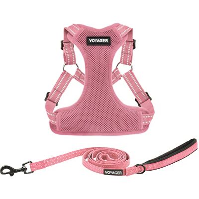 Best Pet Supplies Bästa husdjurstillbehör Voyager nät hund andningsbar sele reflekterande sömmar, alla väder justerbar för promenader träning eller löpning slitstark och hållbar, sele koppel set (rosa) XS Best Pet Supplies Bästa husdjurstillbehör Voyager nät hund andningsbar sele reflekterande sömmar, alla väder justerbar för promenader träning eller löpning slitstark och hållbar, sele koppel set (rosa) XS