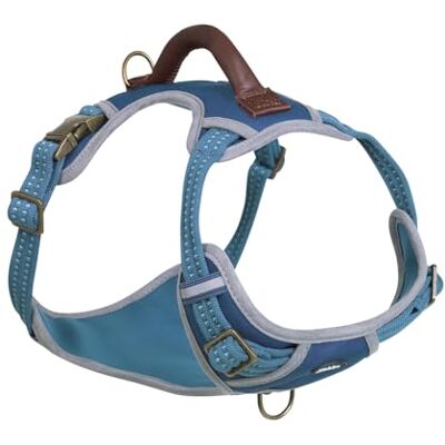 Nobby 52055-06 sele sportig blå M: Hals: 35–55 cm, bröstomfång: 52–75 cm, B: 20 mm Nobby 52055-06 sele sportig blå M: Hals: 35–55 cm, bröstomfång: 52–75 cm, B: 20 mm