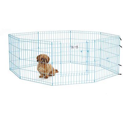 MidWest Homes for Pets MidWest hem för husdjur, hopfällbar träningspenna i metall/lekhage med dörr, 60,96 B x 60,96 H centimeter; blå; 524DRBL MidWest Homes for Pets MidWest hem för husdjur, hopfällbar träningspenna i metall/lekhage med dörr, 60,96 B x 60,96 H centimeter; blå; 524DRBL