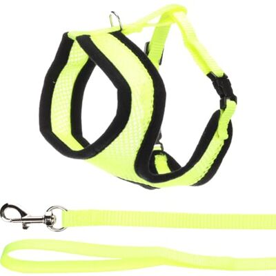 Flamingo Harms kattunge sele med koppel – gul – storlek A: 28 cm, B: 32–41 cm, C: 110 cm x 10 mm x 2 mm – justerbar nylonsele med andningsbart nät – inkluderar koppel – perfekt för kattungar Flamingo Harms kattunge sele med koppel – gul – storlek A: 28 cm, B: 32–41 cm, C: 110 cm x 10 mm x 2 mm – justerbar nylonsele med andningsbart nät – inkluderar koppel – perfekt för kattungar