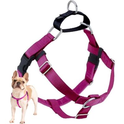 2 Hounds Design 2 Hundar Design Frihet Inget drag Sele Endast 1 tum, medium, Raspberry 2 Hounds Design 2 Hundar Design Frihet Inget drag Sele Endast 1 tum, medium, Raspberry