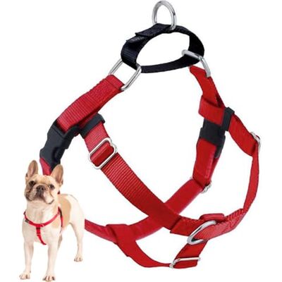 2 Hounds Design 2 Hundar Design Frihet Inget drag Sele Endast 1 tum, Stor, L, Röd 2 Hounds Design 2 Hundar Design Frihet Inget drag Sele Endast 1 tum, Stor, L, Röd