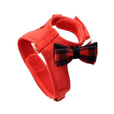 Coastal PET PRODUCTS Accent hundsele röd, en storlek Coastal PET PRODUCTS Accent hundsele röd, en storlek