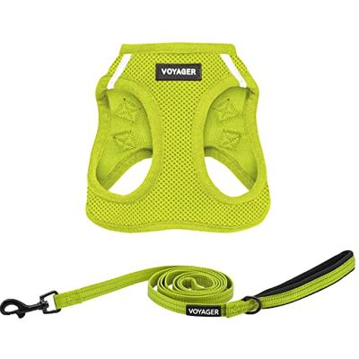 Best Pet Supplies Voyager Antidragsele i meshtyg för alla väder, reflekterande, 1,5 m-koppel med neoprenhandtag, för små och medelstora till stora rasvalpar, set (limegrön), storlek M Best Pet Supplies Voyager Antidragsele i meshtyg för alla väder, reflekterande, 1,5 m-koppel med neoprenhandtag, för små och medelstora till stora rasvalpar, set (limegrön), storlek M
