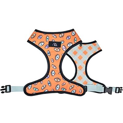 Consentida Avtagbar sele för små hundar 22 x 20,5 cm Eyes Design Storlek S Mycket robust och bekväm Säker Hundtillbehör Consentida Avtagbar sele för små hundar 22 x 20,5 cm Eyes Design Storlek S Mycket robust och bekväm Säker Hundtillbehör