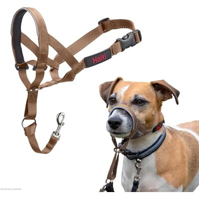 Halti Headcollar För att hindra din hund från att dra i kopplet. Justerbar, reflekterande och lätt, med vadderat näsband. Anti-draghalsband för hundträning för små hundar (Storlek 1, Ökensand) Halti Headcollar För att hindra din hund från att dra i kopplet. Justerbar, reflekterande och lätt, med vadderat näsband. Anti-draghalsband för hundträning för små hundar (Storlek 1, Ökensand)