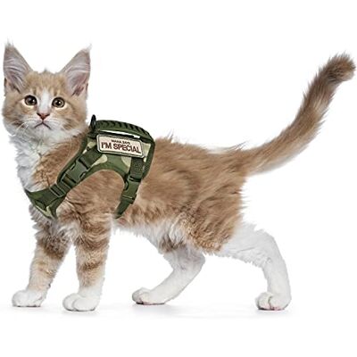 augopapa Taktisk kattsele för promenader, rymningssäker, mjuk nät, justerbar husdjursväst sele för stor katt, liten hund (L, A-grön) augopapa Taktisk kattsele för promenader, rymningssäker, mjuk nät, justerbar husdjursväst sele för stor katt, liten hund (L, A-grön)