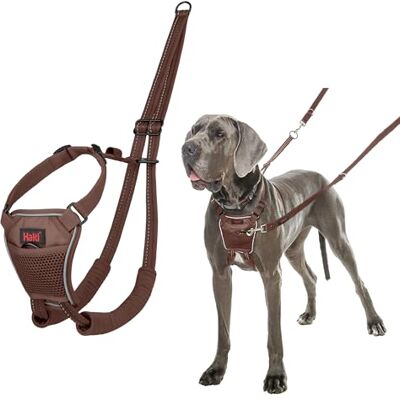 Halti No Pull Hundsele Förhindrar att din hund drar i kopplet. Justerbar, Lätt och Lätt att Använda, Reflekterande Hundträning sele för Stora Hundar (Storlek L, Djup Valnöt) Halti No Pull Hundsele Förhindrar att din hund drar i kopplet. Justerbar, Lätt och Lätt att Använda, Reflekterande Hundträning sele för Stora Hundar (Storlek L, Djup Valnöt)