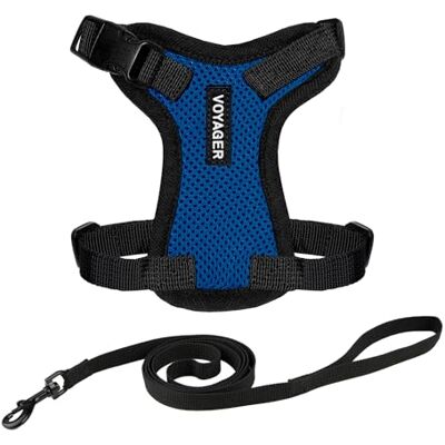 Best Pet Supplies Voyager lås- och justerbar kattsele, med insteg och Kattkoppel, komboset med neoprenhandtag, 1,5 m, stöder små, medelstora och stora kattraser, kungsblå/svart kant, XXS Best Pet Supplies Voyager lås- och justerbar kattsele, med insteg och Kattkoppel, komboset med neoprenhandtag, 1,5 m, stöder små, medelstora och stora kattraser, kungsblå/svart kant, XXS