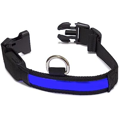 Arquivet Lysande Hund Halsband LED Blå Storlek S 28-40 cm/2,5 cm Arquivet Lysande Hund Halsband LED Blå Storlek S 28-40 cm/2,5 cm