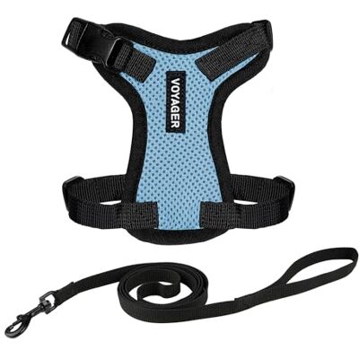 Best Pet Supplies Voyager lås- och justerbar kattsele, med insteg och Kattkoppel, komboset med neoprenhandtag, 1,5 m, stöder små, medelstora och stora kattraser, bebisblå/svart kant, XXS Best Pet Supplies Voyager lås- och justerbar kattsele, med insteg och Kattkoppel, komboset med neoprenhandtag, 1,5 m, stöder små, medelstora och stora kattraser, bebisblå/svart kant, XXS