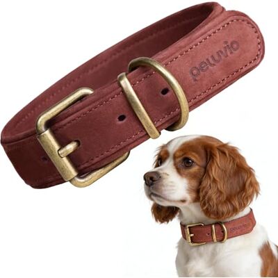 Peluvio Rexor Hundhalsband i Äkta Oxläder för Hundar, Justerbart Läderhalsband med Kopparspänne och Metallbeslag, Mjukt, Slitstarkt och Bekvämt Halsband för Dagliga Promenader, Elegant (S-M, Brun) Peluvio Rexor Hundhalsband i Äkta Oxläder för Hundar, Justerbart Läderhalsband med Kopparspänne och Metallbeslag, Mjukt, Slitstarkt och Bekvämt Halsband för Dagliga Promenader, Elegant (S-M, Brun)