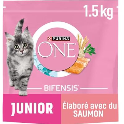 PURINA ONE Bifensis Kattungar upp till 12 månader och katter i graviditeten torrfoder hjälper till att utveckla kattens vitala funktioner lax påse 1,5 kg PURINA ONE Bifensis Kattungar upp till 12 månader och katter i graviditeten torrfoder hjälper till att utveckla kattens vitala funktioner lax påse 1,5 kg