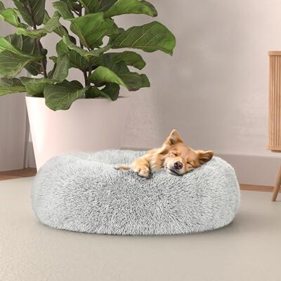Italian Bed Linen Italian säng linne hundsäng drömmar sogni e capricci pets, kräm, 50 x 50 cm Italian Bed Linen Italian säng linne hundsäng drömmar sogni e capricci pets, kräm, 50 x 50 cm