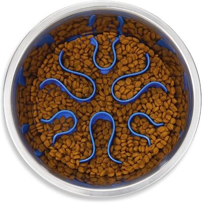 Outward Hound Stainless Steel Fun Feeder Slo Bowl Slow Feeder Dog Bowl Outward Hound Stainless Steel Fun Feeder Slo Bowl Slow Feeder Dog Bowl