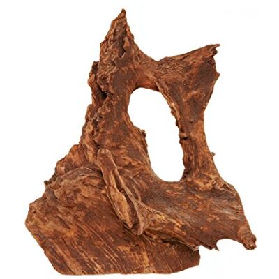 Dehner Aqua Akvariumdekoration mangrovrot large, höjd ca 40–60 cm, brun Dehner Aqua Akvariumdekoration mangrovrot large, höjd ca 40–60 cm, brun