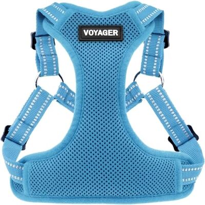 Best Pet Supplies Voyager Step-In Flex hundsele – alla vädernät, steg-in-justerbar sele för små och medelstora hundar av – babyblå, medium Best Pet Supplies Voyager Step-In Flex hundsele – alla vädernät, steg-in-justerbar sele för små och medelstora hundar av – babyblå, medium