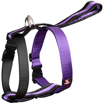 Arppe 222904010121 vadderad sele nylon med rem bil, svart och violett Arppe 222904010121 vadderad sele nylon med rem bil, svart och violett