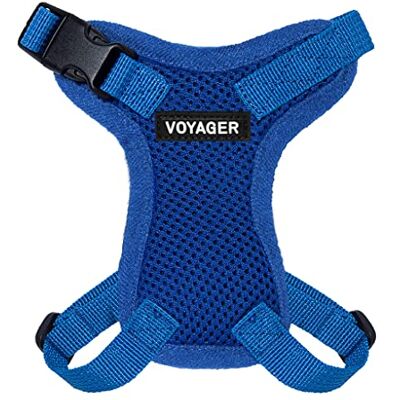 Best Pet Supplies Voyager Step-In Lock kattsele – justerbar Step-In väst sele för små och stora katter – kungsblå (matchande trim), XXXS (byst: 23–33 cm x passande katter) (217-RBW-XXXS) Best Pet Supplies Voyager Step-In Lock kattsele – justerbar Step-In väst sele för små och stora katter – kungsblå (matchande trim), XXXS (byst: 23–33 cm x passande katter) (217-RBW-XXXS)