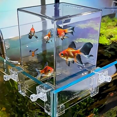 GarveeLife Akvarium med negativt tryckteknik, automatisk vattenpåfyllning, modern flytande design, stor transparent behållare för utökat simutrymme, snygg GarveeLife Akvarium med negativt tryckteknik, automatisk vattenpåfyllning, modern flytande design, stor transparent behållare för utökat simutrymme, snygg
