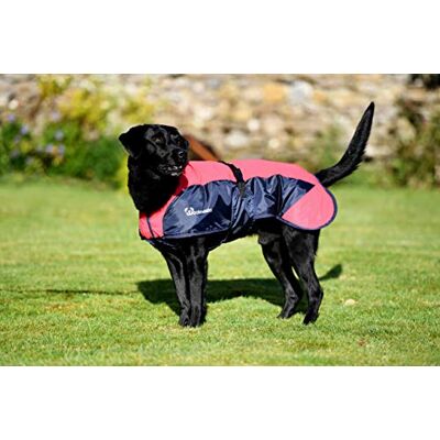 Harry Hall Woofmasta Reflekterande hundrock, 20 cm storlek, röd Harry Hall Woofmasta Reflekterande hundrock, 20 cm storlek, röd