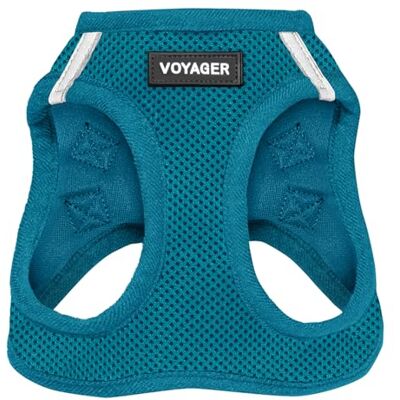 Best Pet Supplies Voyager Step-in Air Dog Harness – All Weather Mesh Step In-Vest Harness för små och medelstora hundar av – sele (turkos), XS Best Pet Supplies Voyager Step-in Air Dog Harness – All Weather Mesh Step In-Vest Harness för små och medelstora hundar av – sele (turkos), XS