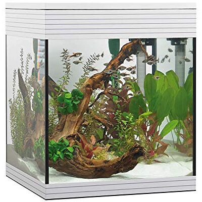 Askoll Aa350046 Aquarium Pure LED, M, vit Askoll Aa350046 Aquarium Pure LED, M, vit
