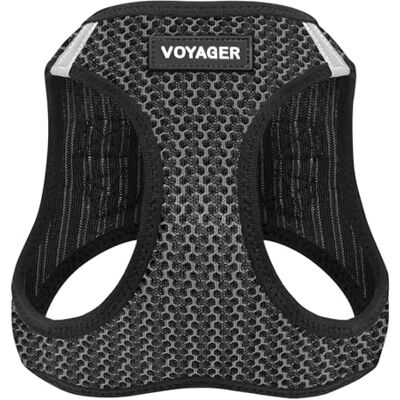 Best Pet Supplies Voyager Step-in Air Dog Harness – All Weather Mesh Step In-väst sele för små och medelstora hundar från – sele (grå 2-ton), liten Best Pet Supplies Voyager Step-in Air Dog Harness – All Weather Mesh Step In-väst sele för små och medelstora hundar från – sele (grå 2-ton), liten