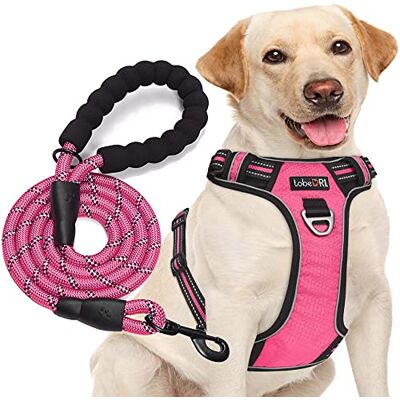 tobeDRI Inget drag hundsele justerbar reflekterande Oxford enkel kontroll medium stor hundsele med ett gratis slitstarkt 1,5 m hundkoppel (L (hals: 45–65 cm, bröst: 62–84 cm), rosa sele + koppel) tobeDRI Inget drag hundsele justerbar reflekterande Oxford enkel kontroll medium stor hundsele med ett gratis slitstarkt 1,5 m hundkoppel (L (hals: 45–65 cm, bröst: 62–84 cm), rosa sele + koppel)